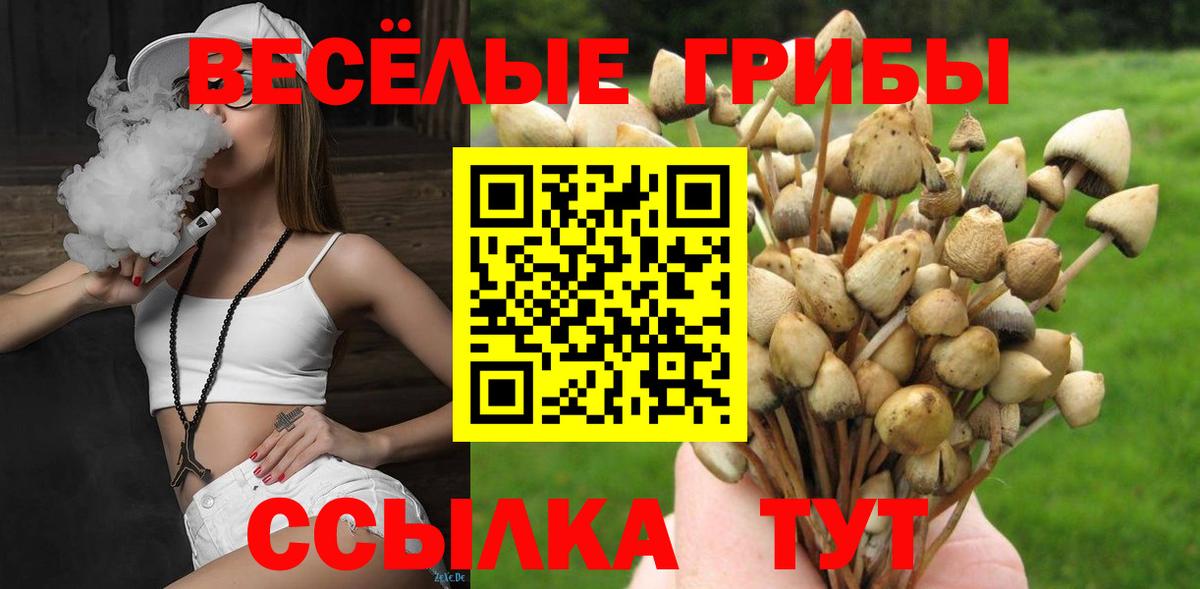 Псилоцибиновые грибы MAGIC MUSHROOMS  Галлюциногенные грибы ЛСД  Вход с VPN  Донской 